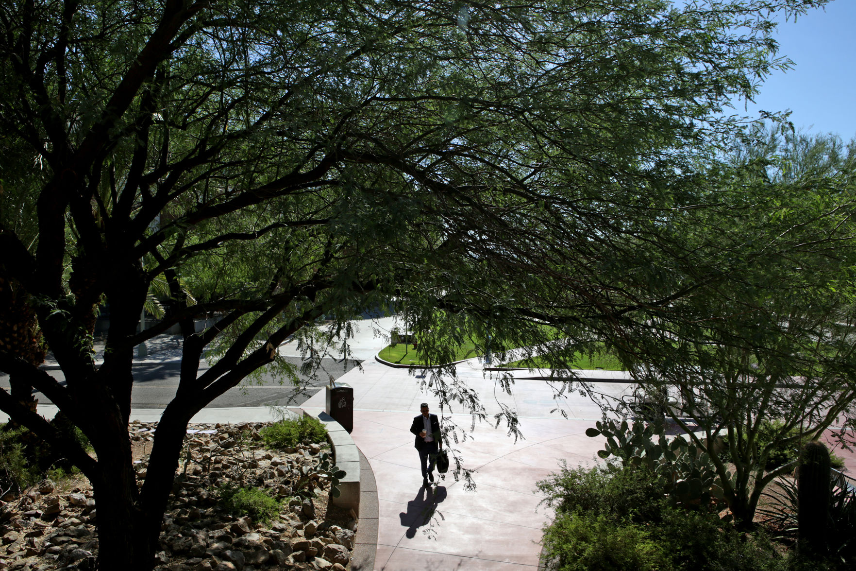 University of Arizona: Mall